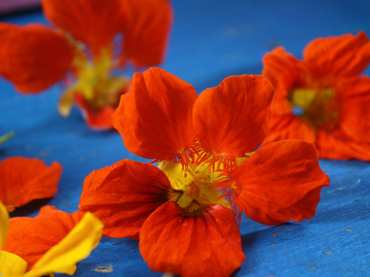 Funktioniert auch drinnen