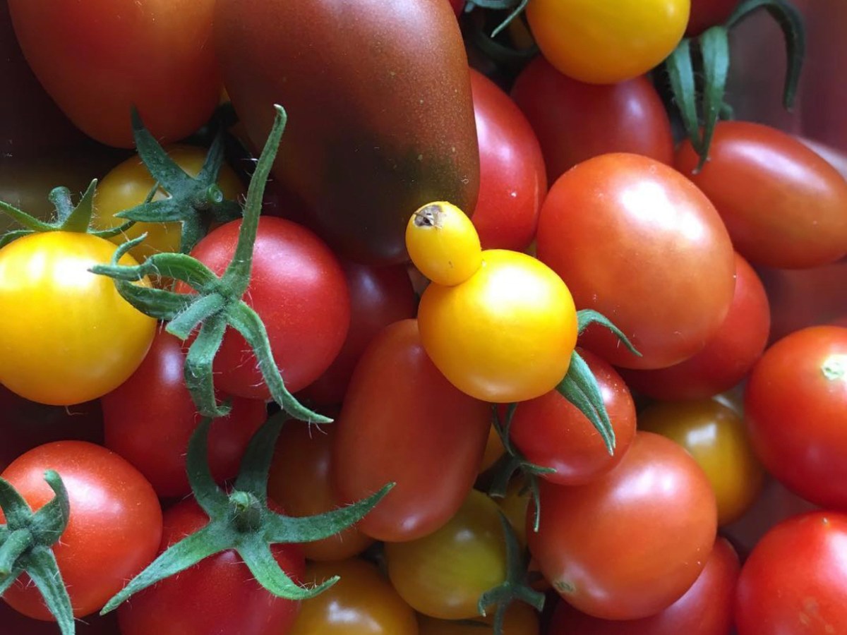 Schluss mit dem&nbsp;Wildwuchs!