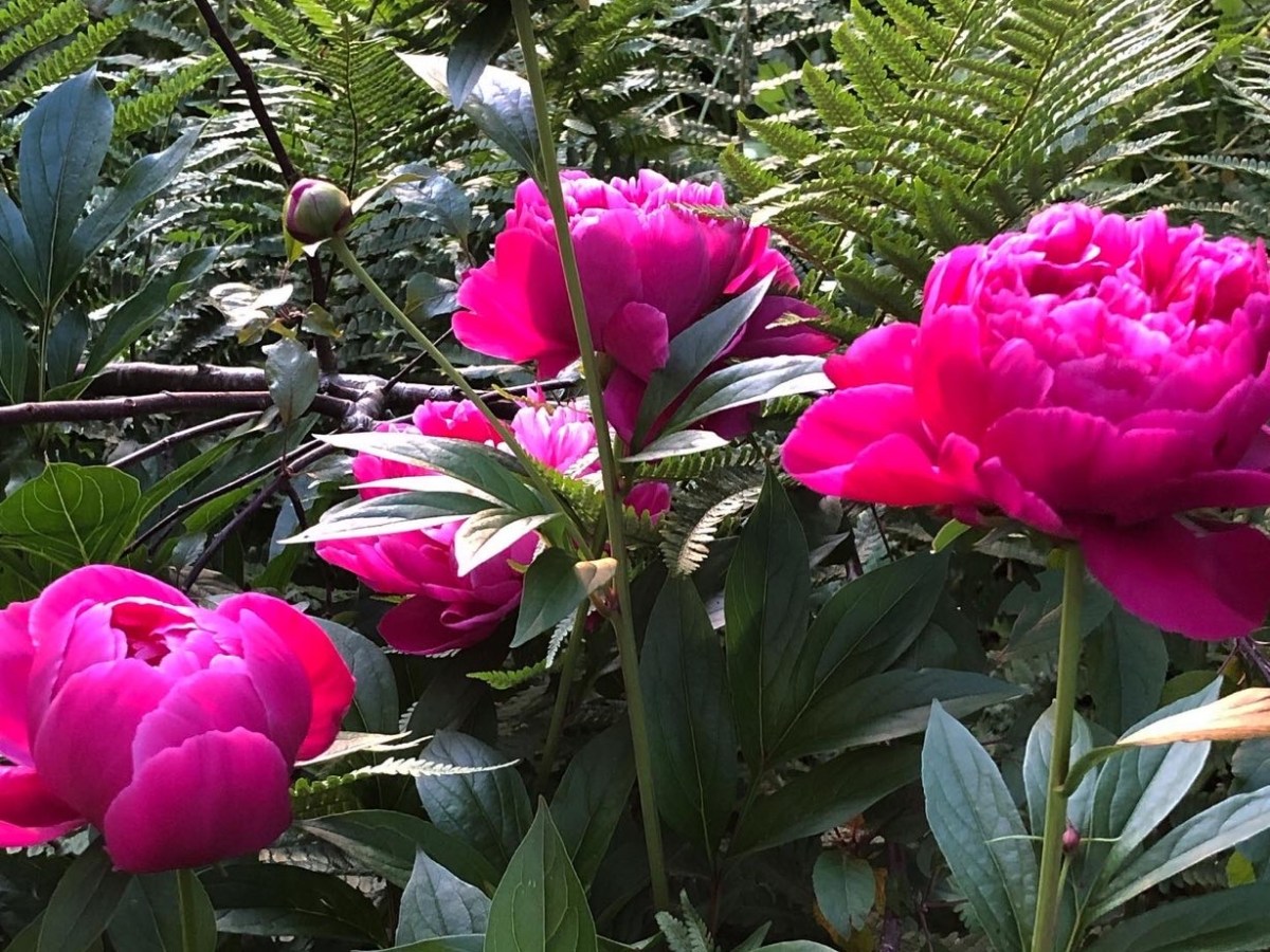 Gibt‘s ja gar&nbsp;nicht