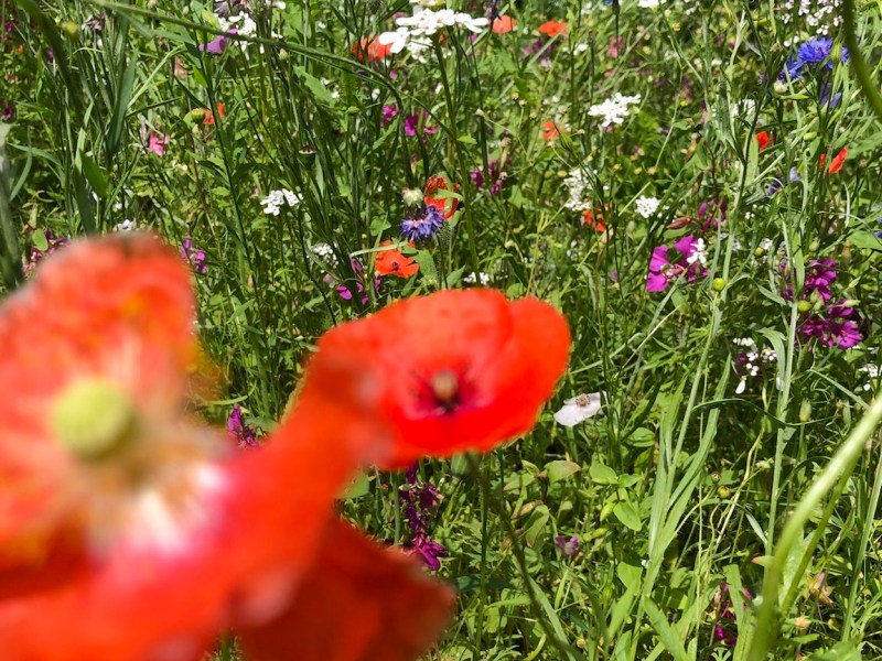 Jetzt bloss nicht&nbsp;aufgeben